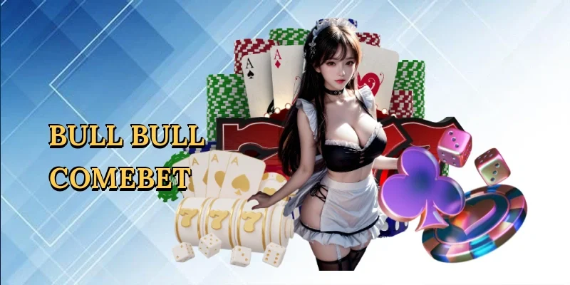Bull Bull Comebet