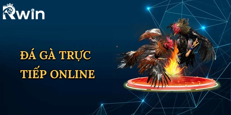 da-ga-truc-tiep-online-1