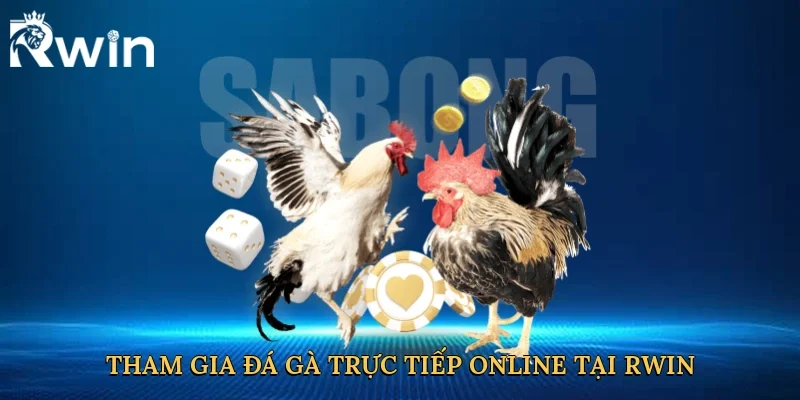 Tham gia đá gà trực tiếp online tại Rwin